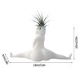 thumbnail image 3 of Great promotion! Home Flower Pot Decorations, Parody Of Potted Resin Crafts, Bedroom And Courtyard Decorations, 3 of 5