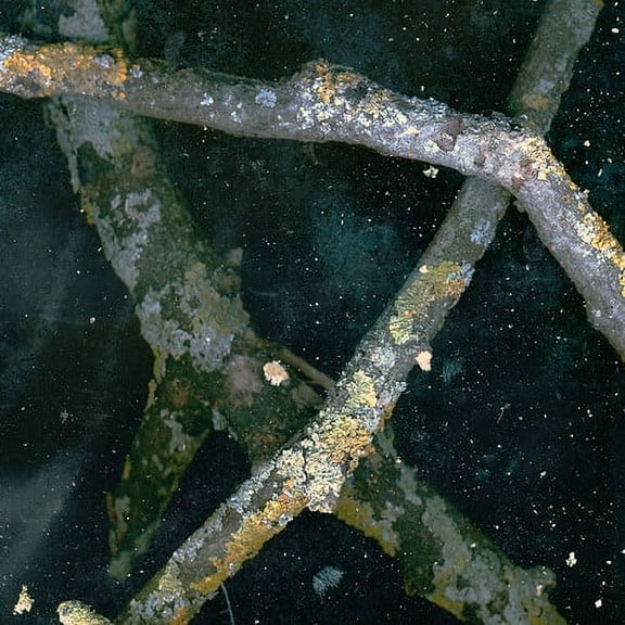 Saaadon - Mpetb - Electronica - Vinyl