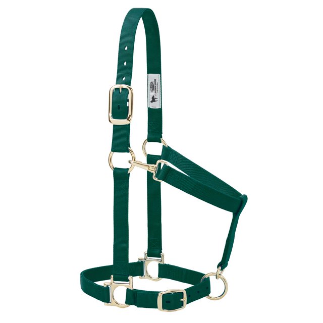 Cabestro Weaver Equine de nailon ajustable de 1" color verde cazador