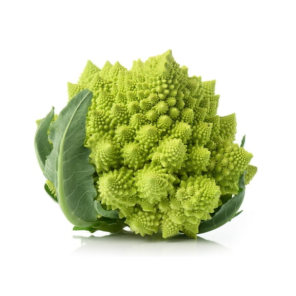Green Fractals Romanesco Cauliflower Broccoli Premium Seeds Packet Great for Kids! Fibonacci Sequence!