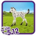thumbnail image 2 of Schleich Horse Club Knabstrupper - Foal, 2 of 5