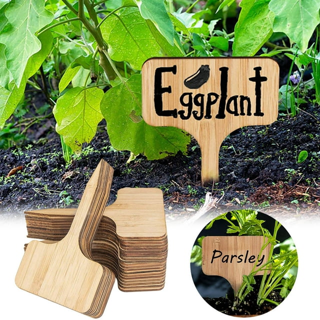 Card Slot 2 Product - Wooden Labels T Shaped Garden Markers Reusable Seedling Signs For Garden Vegetable Pot