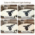 thumbnail image 7 of ODIKA 3'x5' Ultra-Soft Throw Mat, Moth Gothic Ornate Vintage Scroll Border Witchy None Washable, Bare feet friendly, Easy Care Indoor rug for Bedside, Vanity, 7 of 7