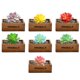 thumbnail image 1 of 7 Uds simulación suculenta cielo crema cabeza de loto accesorios creativos DIY plantas verdes artificiales, 1 of 5