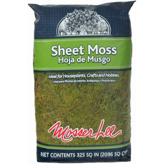 Mosser Lee ML0460 Natural Green Sheet Moss, 325 sq. in.