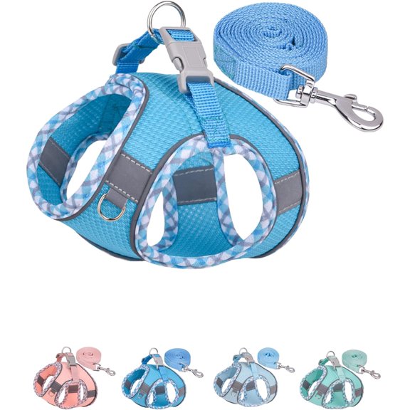 Dog Harness for Small Medium Dogs No Pull, Puppy Harness and Leash Set, Step in Dog Harness for Walking, Running, Training, Small Dog Vest