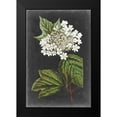 thumbnail image 2 of Vision Studio 11x14 Black Modern Framed Museum Art Print Titled - Dramatic White Flowers III, 2 of 5
