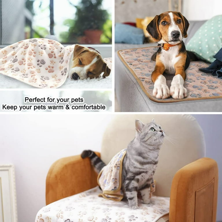 Print your pet on a blanket 2025