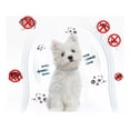 thumbnail image 2 of 2 Collares Repelentes De Pulgas Y Mosquitos For Perros Y, 2 of 8