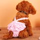 thumbnail image 4 of Perro mascota lavable Pantalones físicos Pantalones sanitarios Calzoncillos con correa - Rosa, S Gloria Pantalón físico para perros, 4 of 9