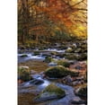 thumbnail image 3 of Head, Danny 17x24 Black Modern Framed Museum Art Print Titled - Autumn on Little River, 3 of 5