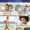 thumbnail image 4 of Superior Labs L-Arginine  Free Form  Optimal 3,000mg Dosage  150 Vegetable Capsules  Supports Vasodilation, Energy Production and Cardiovascular Health, 4 of 7