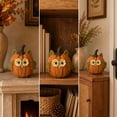 thumbnail image 4 of Handcrafted Resin Owl Pumpkin Figurine with Floral Eyes and Leaf Ears for Fall Halloween Thanksgiving Tabletop Decor Indoor Party Decoration, 4 of 8