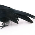 thumbnail image 3 of Crow Decoys Full Body Plastic Crow Decoy for Hunting, Black Flocked Crow Decoy w/Feet Stake for Halloween Decor Yard Garden Decoration, 3 of 6