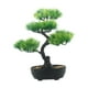 thumbnail image 3 of Bonsái Artificial, Plantas Artificiales, Vegetación, Bonsái para Oficina Y Hogar., 3 of 9