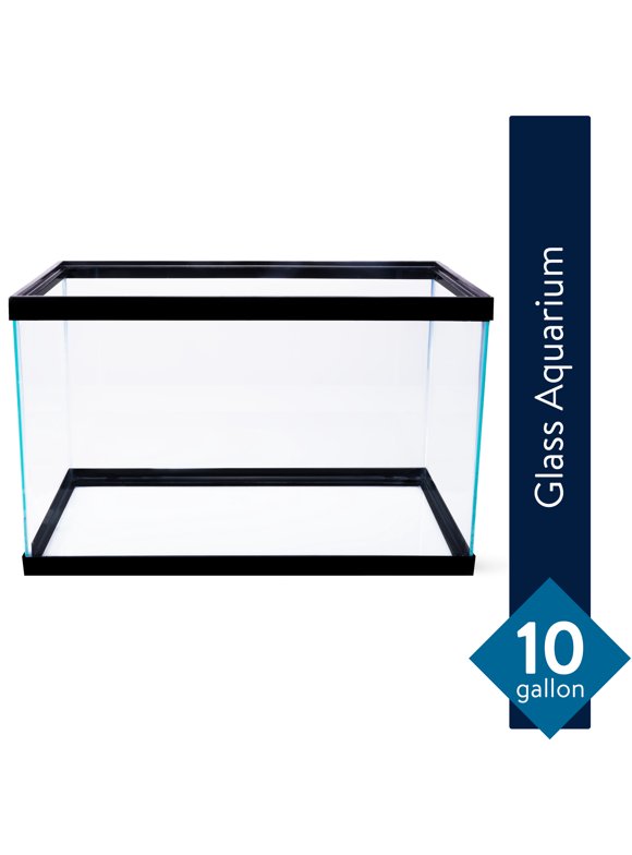 10 Gallon Fish Tank in Fish Tanks