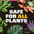thumbnail image 5 of Pennington Easy-Dose Indoor Plant Food 2-3-2 16oz, 5 of 17