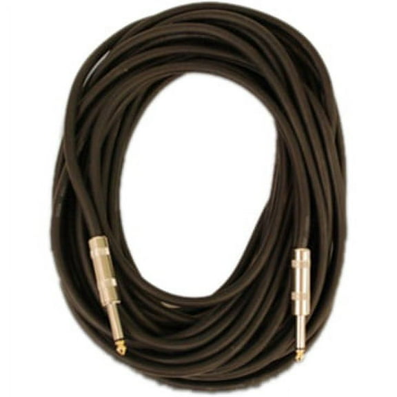 Seismic Audio FS20 1/4" to 1/4" Speaker Cable 20'