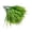 1-F, variant on Fake Boston Fern Plant, Plastic Fake Greenery Ferns Bushes, Faux Shrubs UV Resistant Greenery, Green Plant Decor for Home Garden Office Kitchen Wedding DIY Decor Planter Filler Decor (Cosmos)