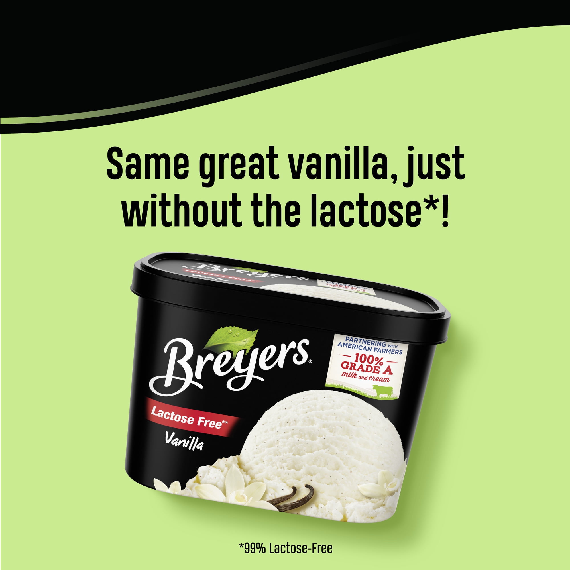 Breyers ice cream lactose free outlet