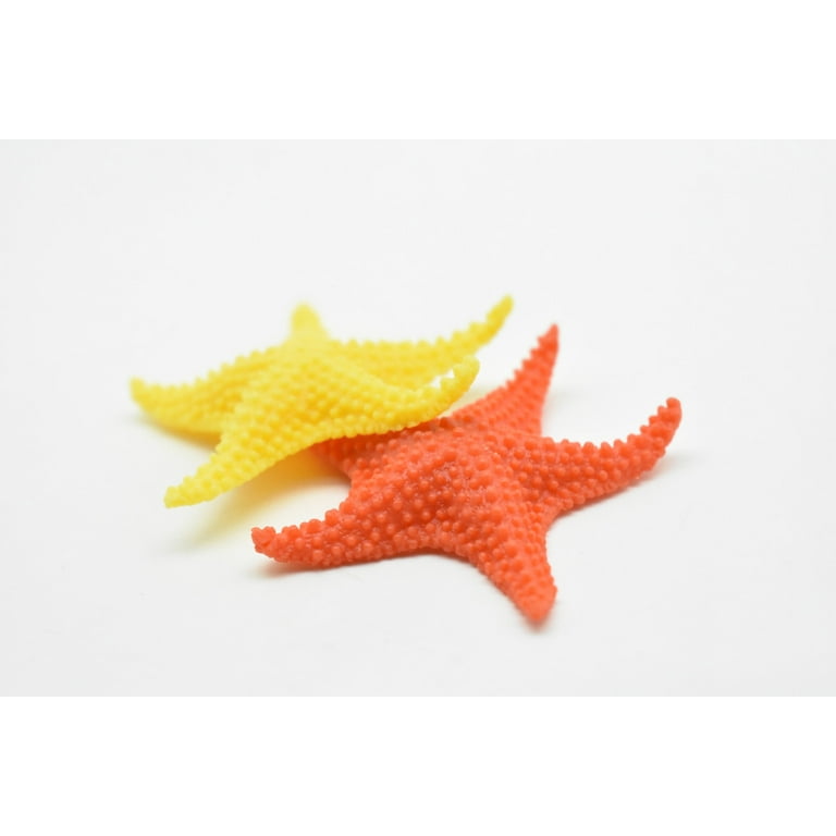 Safari Ltd. Starfish Figurine - Vibrant 4.5 Sea Star Figure - Educational  Toy for Boys, Girls, and Kids Ages 3+