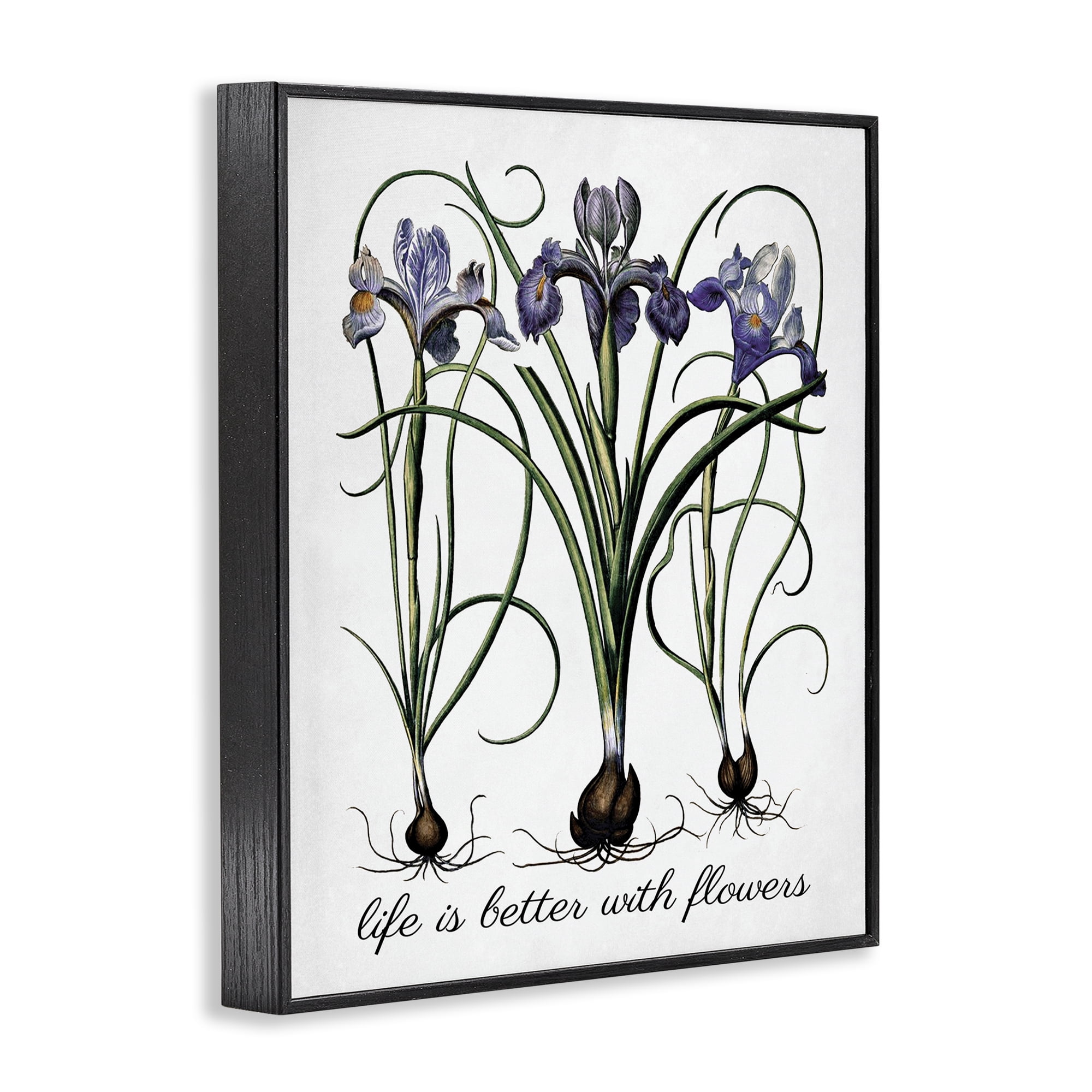 Stupell Industries Better With Flowers Botanical & Floral Painting Black Framed Art Print Wall Art, 24 x 30