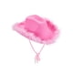 thumbnail image 1 of Sunloudy Sombrero de vaquera rosa con boa de plumas ? Sombrero de vaquero de tamaño adulto con plumas para despedida de soltera, fiesta de disfraces, juego para mujeres Sunloudy  Annecy, 1 of 9