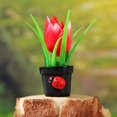 thumbnail image 4 of unbranded 6Ud Pequeñas Plantas Artificiales De Resina Con Para Y Oficina, 4 of 8