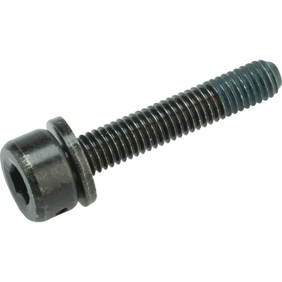 Shimano 26.8mm Disc Brake Caliper Fixing Bolt for 74mm Caliper on Flat-Mount