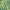 Green Palm, variant on Better Homes & Gardens 100% Cotton Beach Life Multi, 2 Yard Precut Fabric