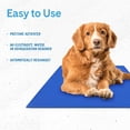 thumbnail image 4 of Alfombrilla de gel Cooling Pad The Green Pet Shop Chillz para mascotas, 4 of 6