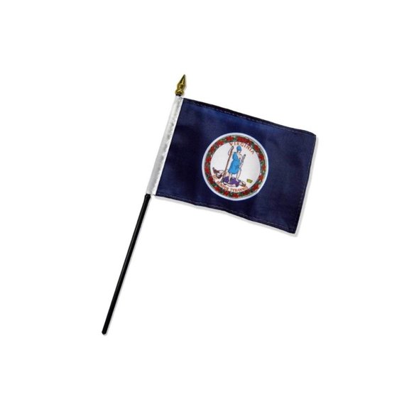 Virginia 4x6in Stick Flag