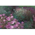 thumbnail image 2 of Bo, Li 18x13 Black Ornate Wood Framed with Double Matting Museum Art Print Titled - Violet Garden, 2 of 4
