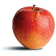 Pinata Apple Large, Each