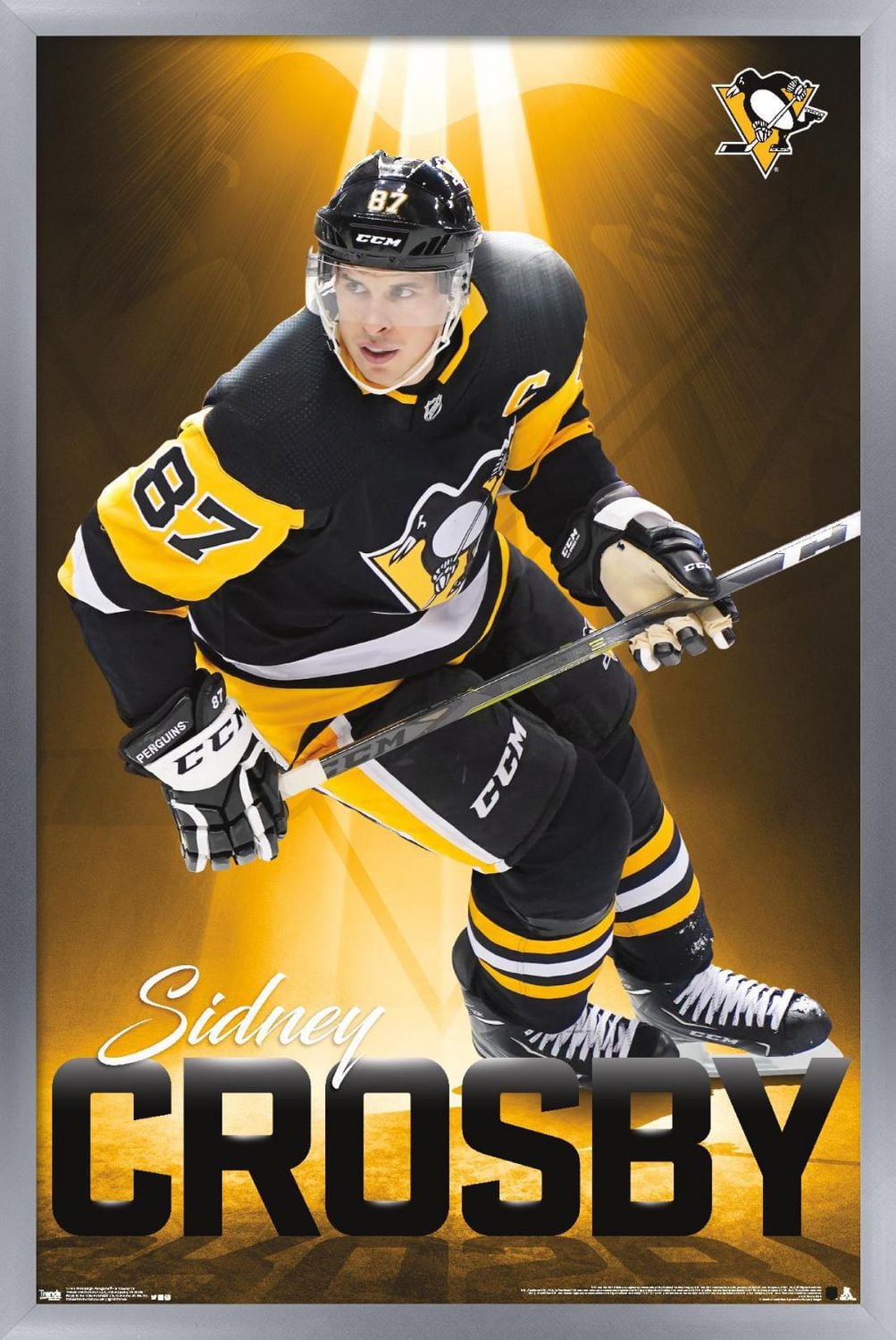 NHL Penguins de Pittsburgh - Sidney Crosby 18
