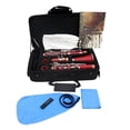 thumbnail image 2 of B Flat Clarinet with 17 Key, Exquisite Design, Cupronickel Keys, Reed Case Cleaning Cloth Gloves, ABS Instrument for Music Enthusiasts, 2 of 7