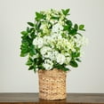 thumbnail image 3 of Nearly Natural Mixed Flower Artificial Arrangement in Weave Basket - 31" - White and Green, 3 of 8