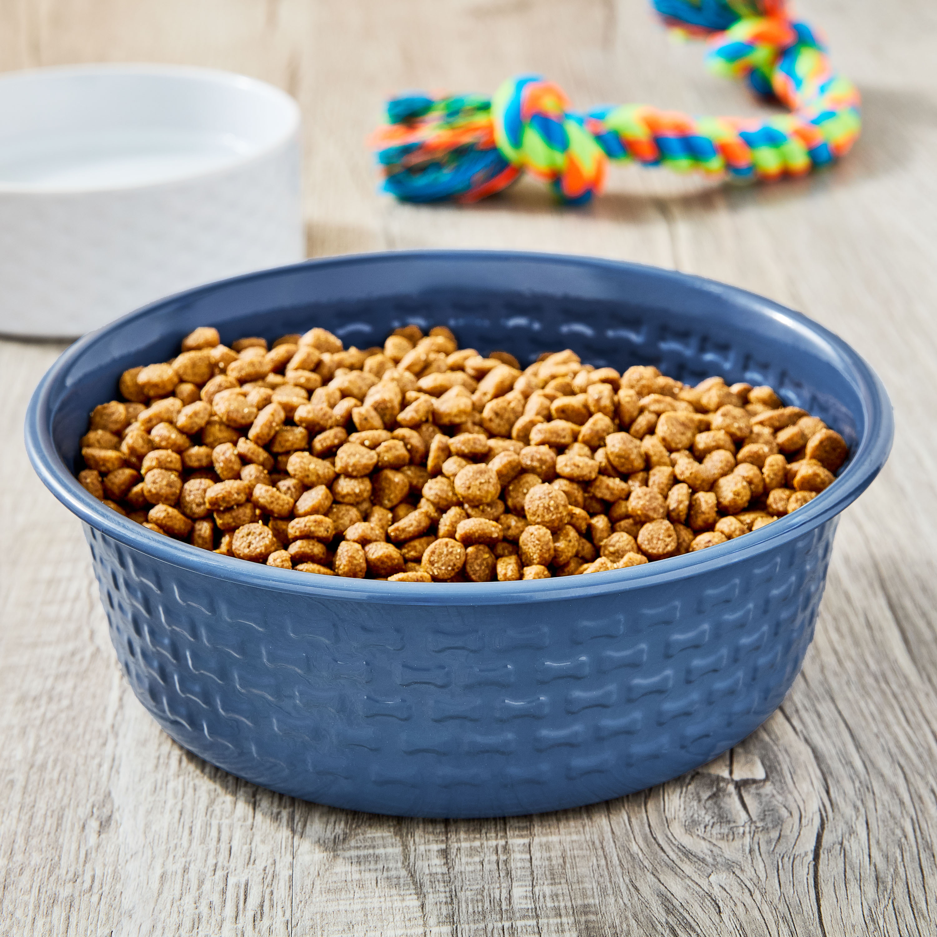 Vibrant Life Large Stainless Steel Embossed Dog Bowl, Blue Bones