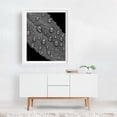 thumbnail image 2 of Raindrops on Joe Pye Weed - Photography Black and White Nature Abstract Botanical Minimalist Water White Framed Wall Art Print 16 x 20 inches, 2 of 3