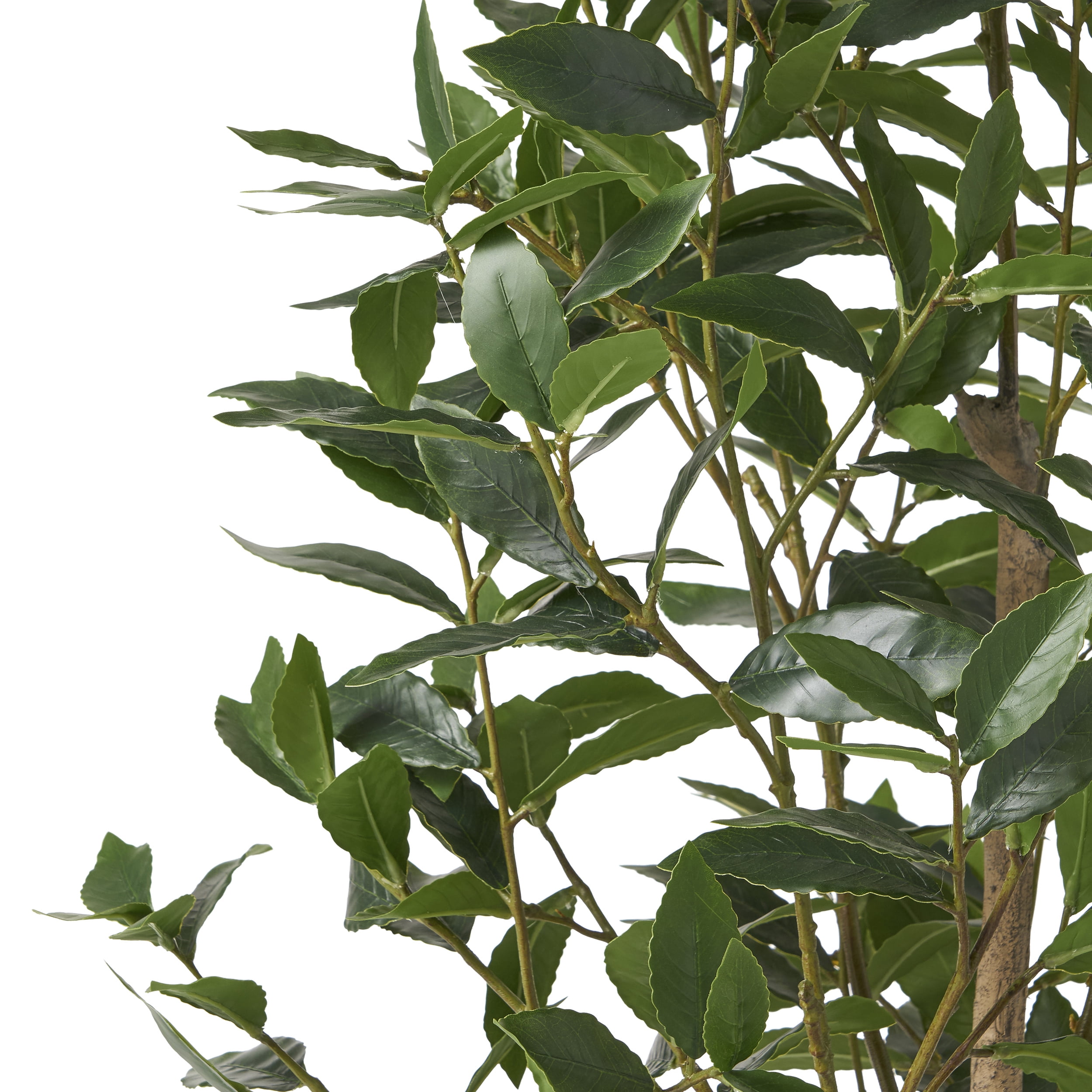 Atoka 5.5' x 2' Artificial Tabletop Laurel Tree, Green