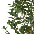 thumbnail image 3 of Atoka 5.5' x 2' Artificial Tabletop Laurel Tree, Green, 3 of 5