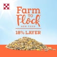 thumbnail image 2 of Purina Farm to Flock 18% Layer Hen Food, 25 Pound Bag, 2 of 6