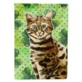 thumbnail image 1 of Carolines Treasures CK3060CHF Bengal Shamrock Flag Canvas House Size, 1 of 4