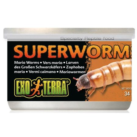 Exo Terra Canned Superworms Specialty Reptile Food 1.2 oz Pack of 2