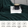thumbnail image 3 of IR Imperial Rooms Adult Fleece Bed Blanket 310 GSM Microfiber Lightweight Warm Fluffy Cozy Plush Emerald Green Queen Size, 3 of 14