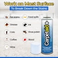 thumbnail image 6 of Carpet Aid Spot & Stain Remover – Removes Oil, Grease, Ink, Coffee, Pet Urine & Lipstick from Carpets, Rugs & Upholstery 2 Pack, 6 of 7