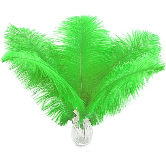 Lime Green Ostrich Feathers - 24Pcs 12-14inch Large Green Feathers for Vase,Wedding Party Centerpieces and Holiday Home Decor