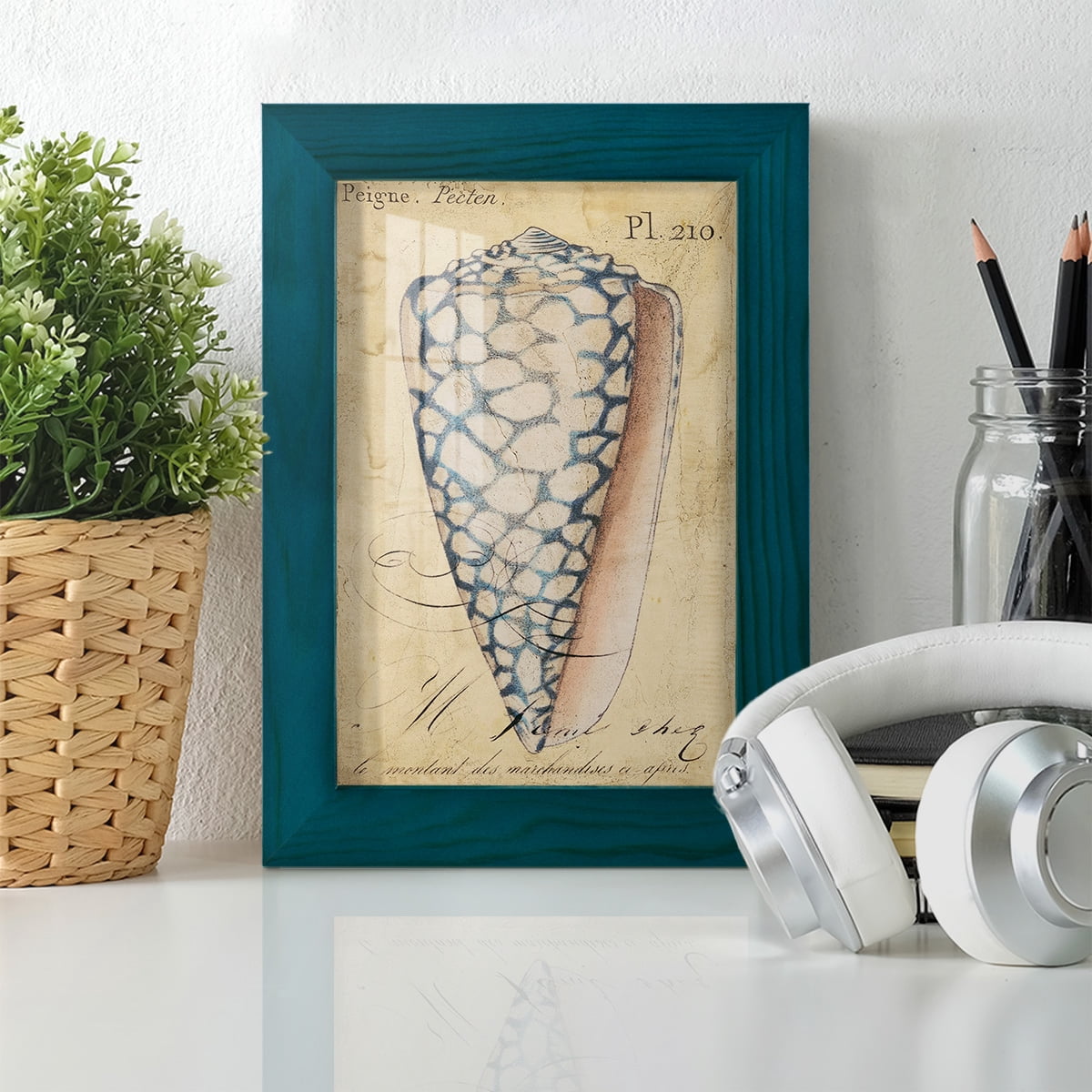 Seashell Ephemera IV - Framed Print w/glass - Ocean Blue