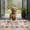 Pink French Bulldog-1, variant on Poodle Dog and Flower Floral Door Rugs,Washable Non Slip Door Mats Indoor,Decorative Door Mats,Entry Mat Indoor for Entrance,Bedroom,Kitchen,Bathroom,16"x24"