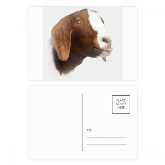Sheep Side Eyes Ears Art Deco Fashion Postcard Set Birthday Mailing Thanks Greeting Card